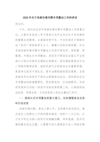 2025年关于违规吃喝问题专项整治工作的讲话