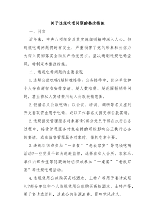 关于违规吃喝问题的整改措施