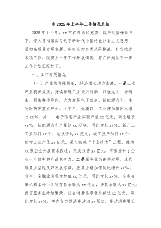 市2025年上半年工作情况总结