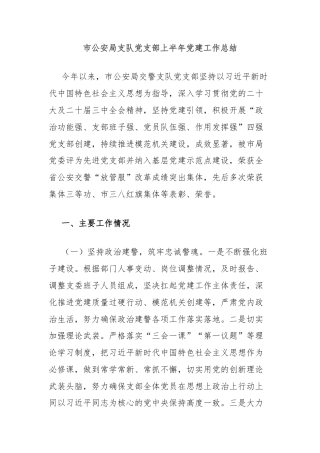 市公安局支队党支部上半年党建工作总结