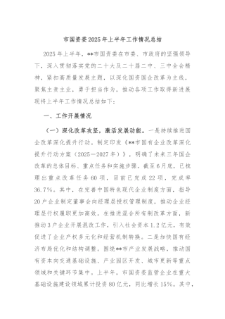 市国资委2025年上半年工作情况总结