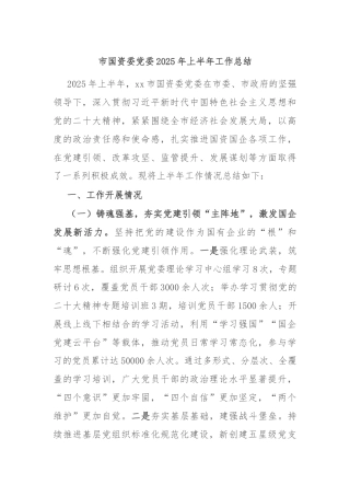 市国资委党委2025年上半年工作总结