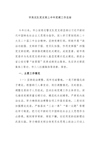 市局支队党支部上半年党建工作总结
