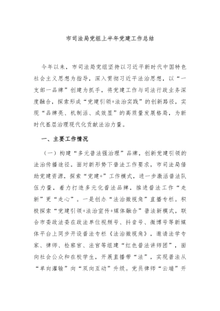 市司法局党组上半年党建工作总结