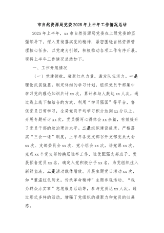 市自然资源局党委2025年上半年工作情况总结