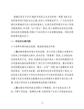 XX区水务局领导班子2025年度民主生活会对照检查材料(五个带头)