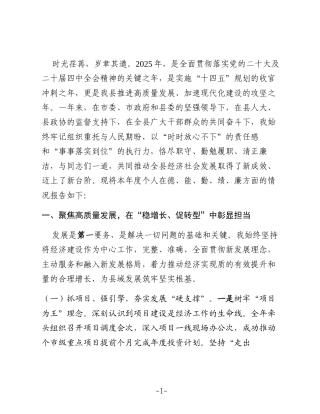 2025年度述职述德述廉报告（领导干部个人）