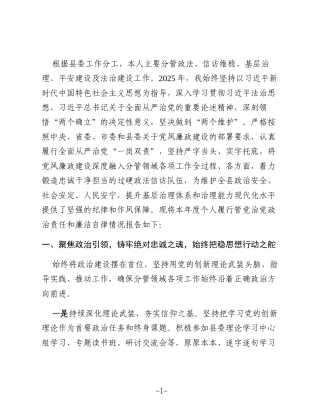 2025年度县领导个人述责述廉报告