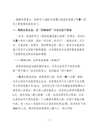 2025年度县委书记抓基层党建工作述职报告