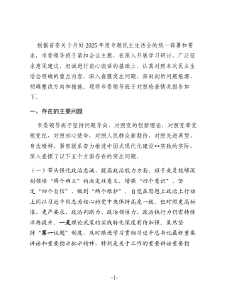 市委领导班子2025年度专题民主生活会对照检查材料