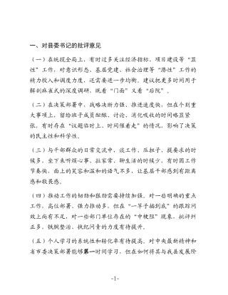 县委常委班子2025年度民主生活会相互批评意见