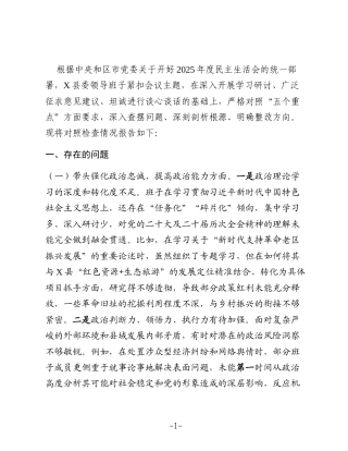 县委领导班子2025年度民主生活会对照检查材料