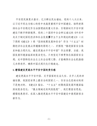 研讨发言：建设更高水平平安中国
