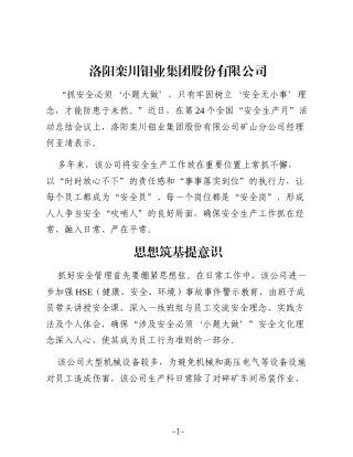 守牢安全红线 筑牢发展底线——洛阳栾川钼业集团股份有限公司安全生产工作纪实